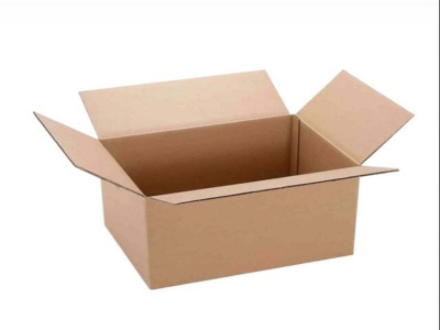 Thùng carton 100cm